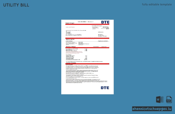 USA Michigan DTE Energy Beispielrechnung Vorschau